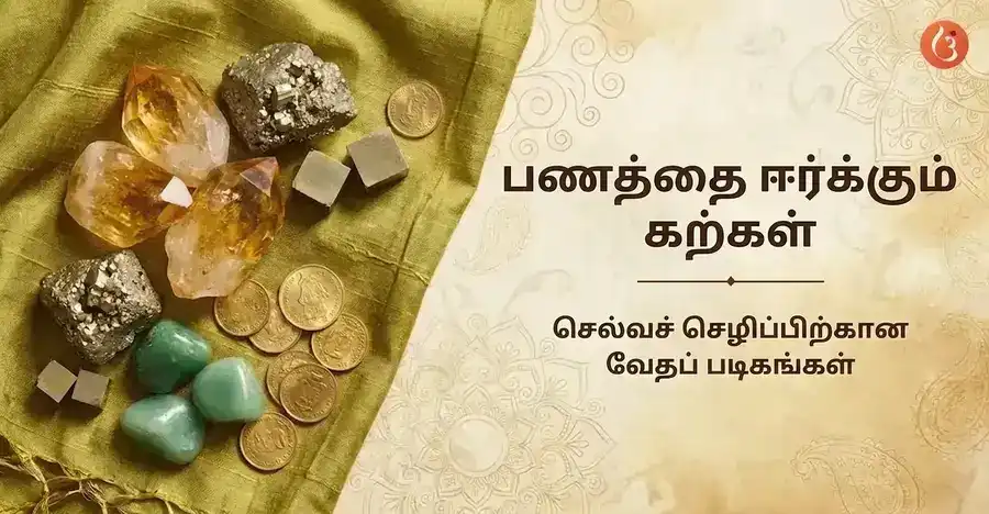 சிட்ரின், பைரைட் மற்றும் கிரீன் அவென்டுரின் போன்ற செல்வத்தை ஈர்க்கும் படிகங்களின் தொகுப்பு அழகாக அமைக்கப்பட்டுள்ளது.