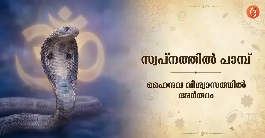 Meaning of seeing snakes in a dream according to Hindu Swapna Shastra.