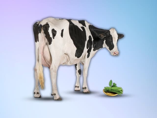 bhet image 40eff06a20564d10805b55295c782a95