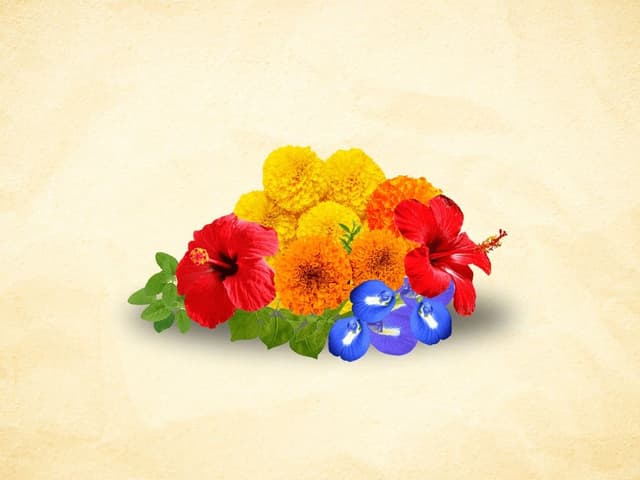 bhet image ad350b7abee445ce93790274d6df177c