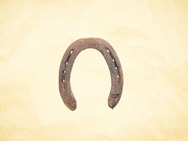 bhet image 45032893bf364e078feb32b1d8119078