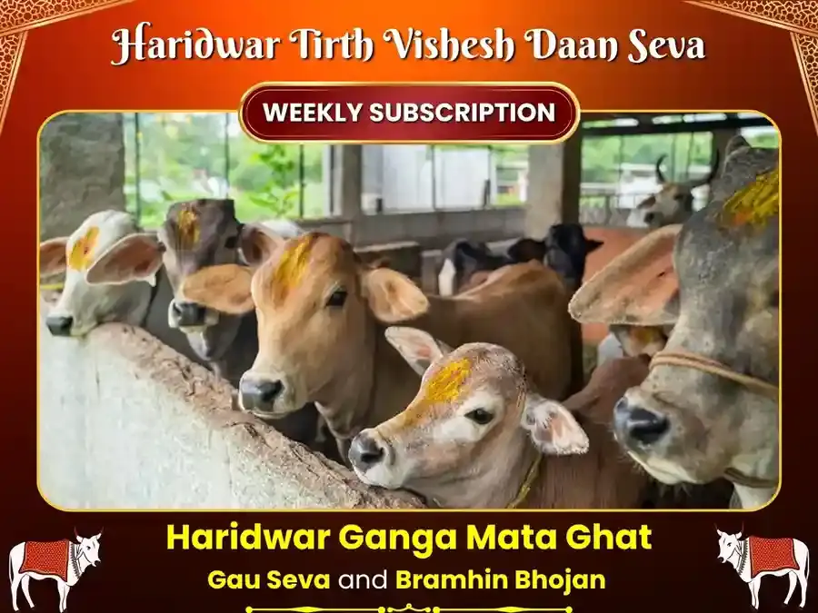 Guruvar Haridwar Ganga Ghat Weekly Gau Seva & Bramhin Bhojan - Utsav Puja