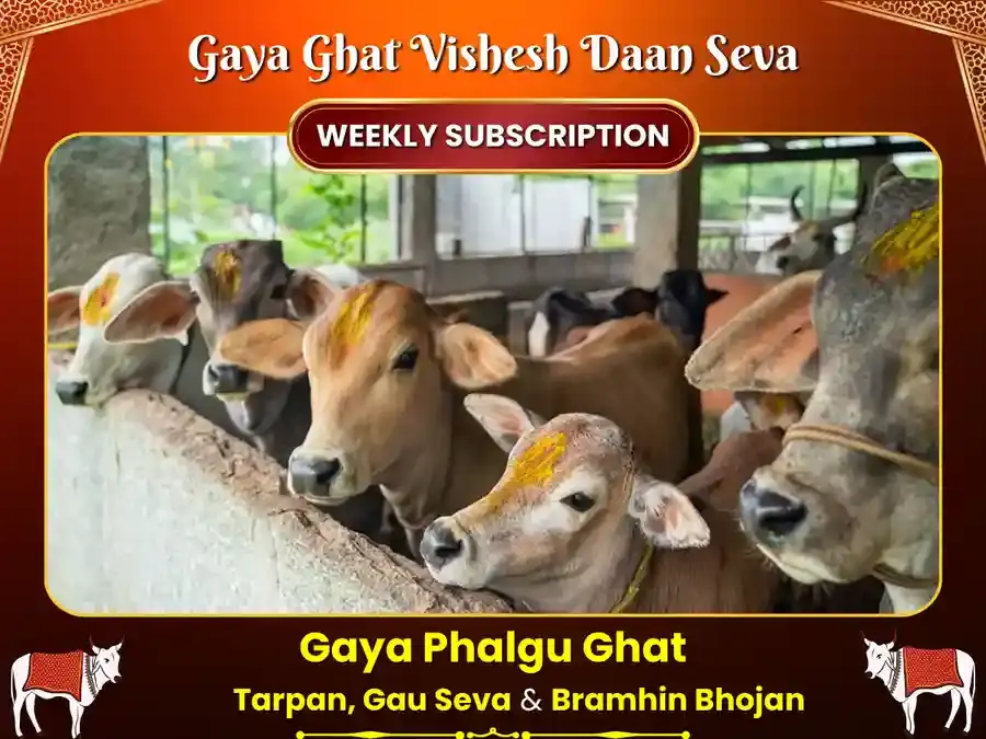 Mangalvar Visesh Weekly Bramhin Bhojan & Gau Seva - Utsav Puja