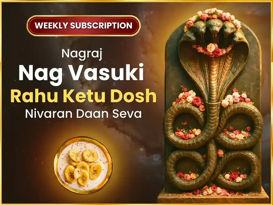 Somvar Rahu Ketu Dosh Nivaran Weekly Nagvasuki Daan Seva - Utsav Puja
