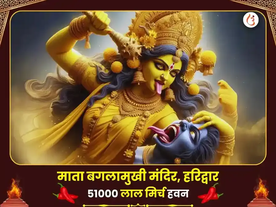 माँ बगलामुखी 51000 लाल मिर्ची हवन - Utsav Puja