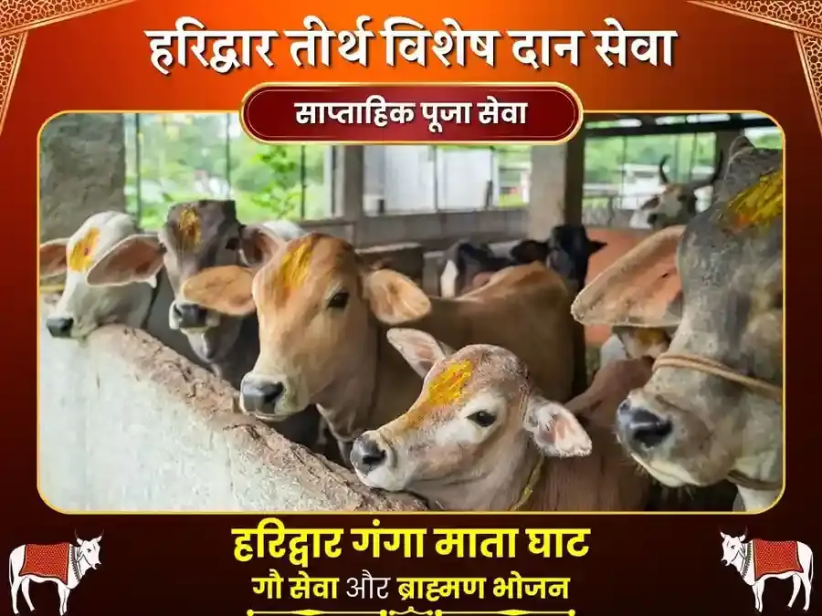 मंगलवार गया फल्गु घाट साप्ताहिक ब्राह्मण भोजन एवं गौ सेवा - Utsav Puja