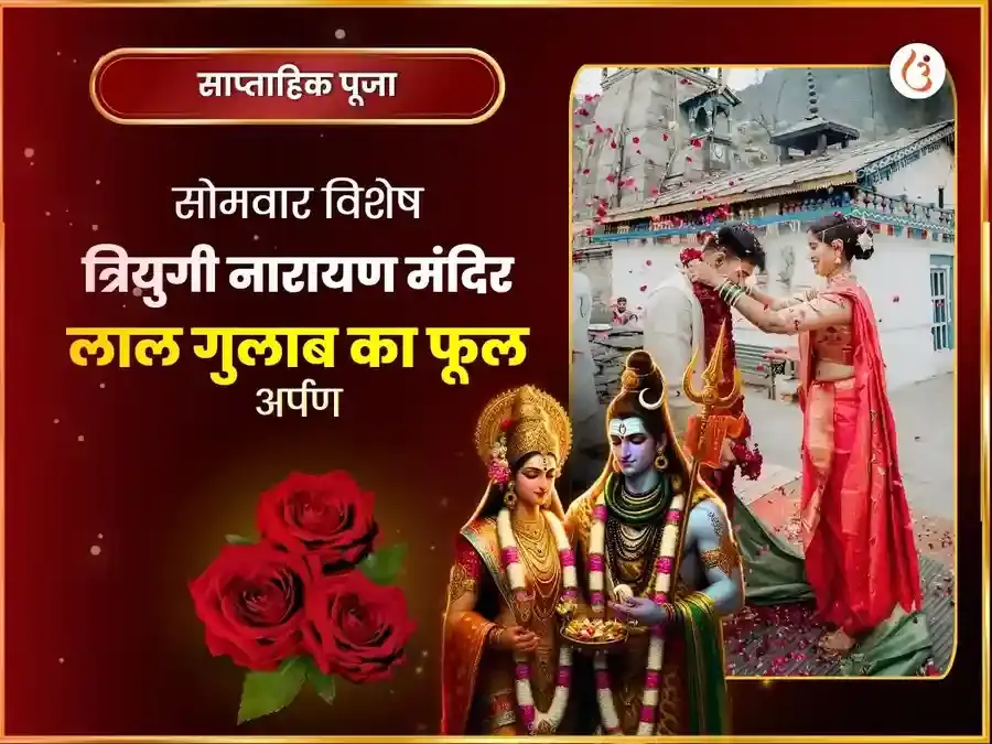 त्रियुगीनारायण साप्ताहिक गुलाब दान सेवा - Utsav Puja