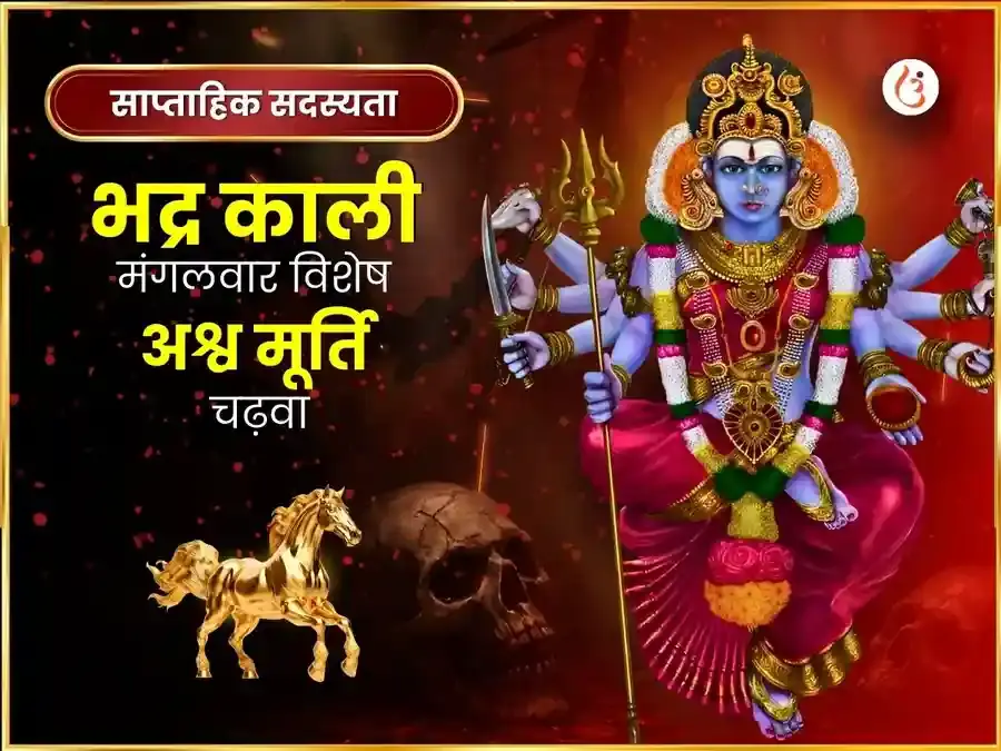 मंगलवार विशेष भद्र काली मंदिर काशी साप्ताहिक (साप्ताहिक) दान सेवा - Utsav Puja
