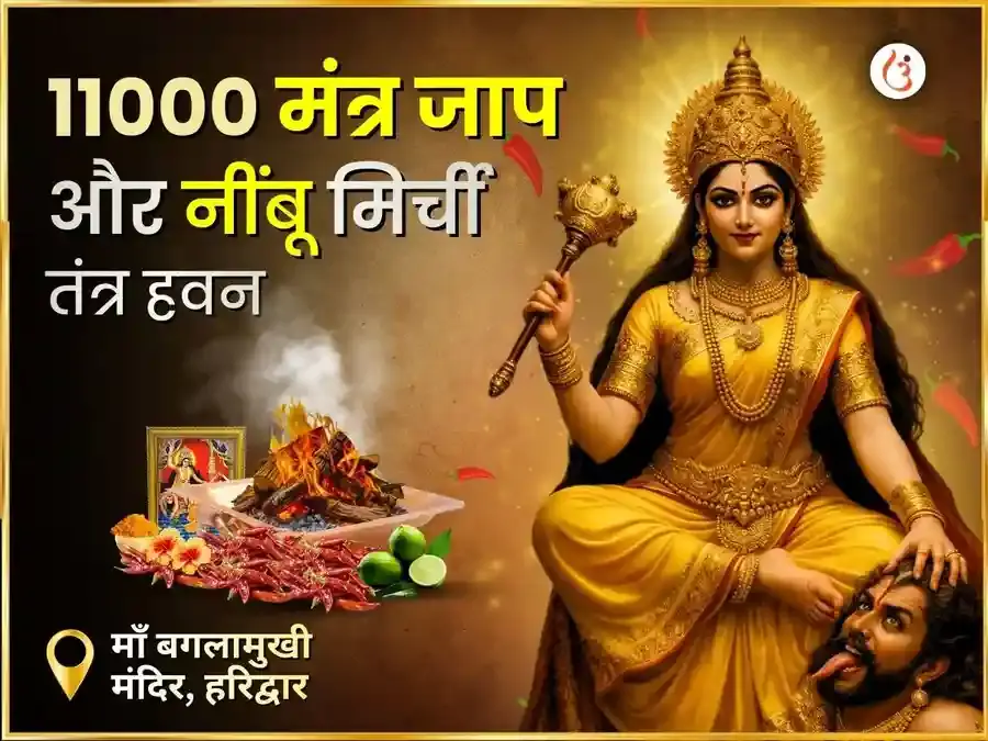 माँ बगलामुखी स्वर्ण समृद्धि हवन एवं 11000 मूल मंत्र जाप - Utsav Puja