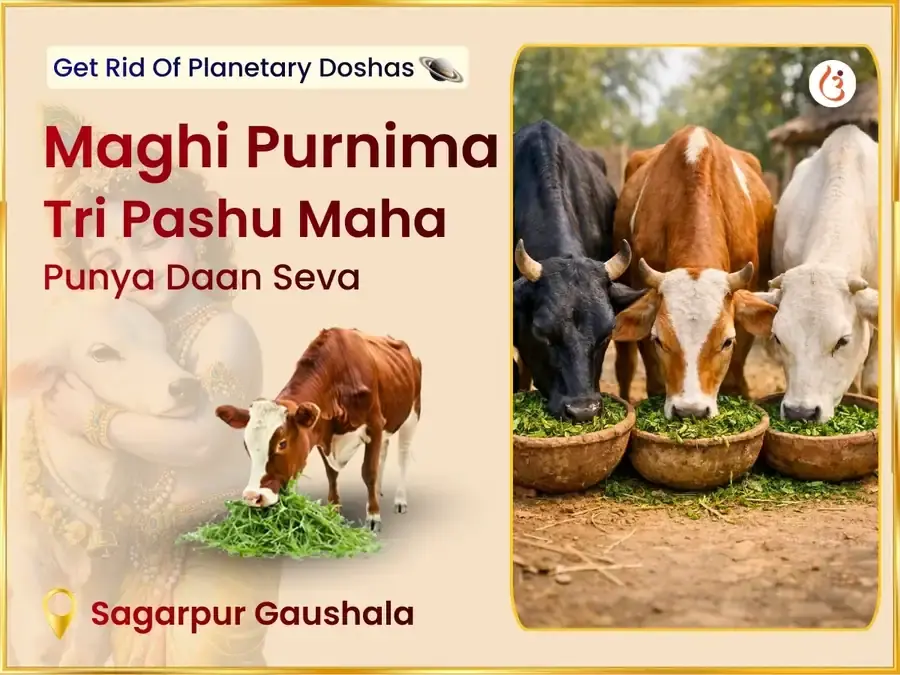 Benefit Header Image