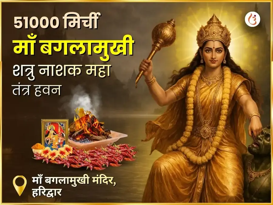 माँ बगलामुखी 51000 लाल मिर्ची हवन - Utsav Puja