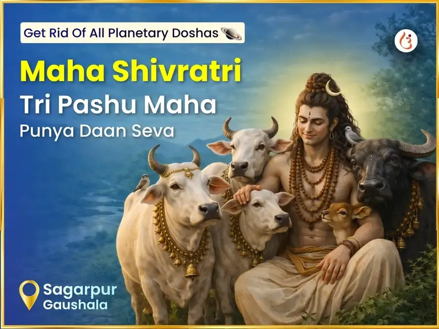 Benefit Header Image