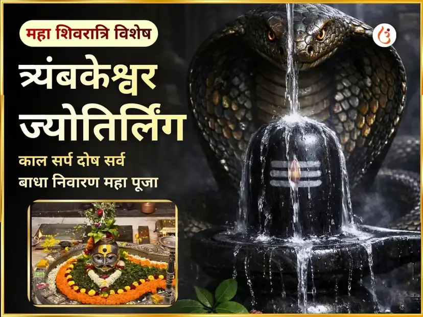 महा शिवरात्रि त्र्यंबकेश्वर ज्योतिर्लिंग काल सर्प दोष सर्व बाधा निवारण महा पूजा - Utsav Puja