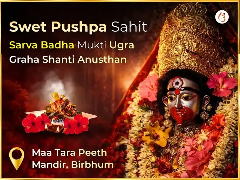 Shwet Pushpa Sahit Sarva Badha Mukti Ugra Graha Shanti Mahaanushthan  - Utsav Puja