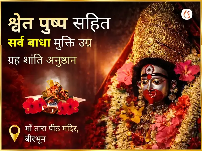 श्वेत पुष्प सहित सर्व बाधा मुक्ति उग्र ग्रह शांति महाअनुष्ठान - Utsav Puja