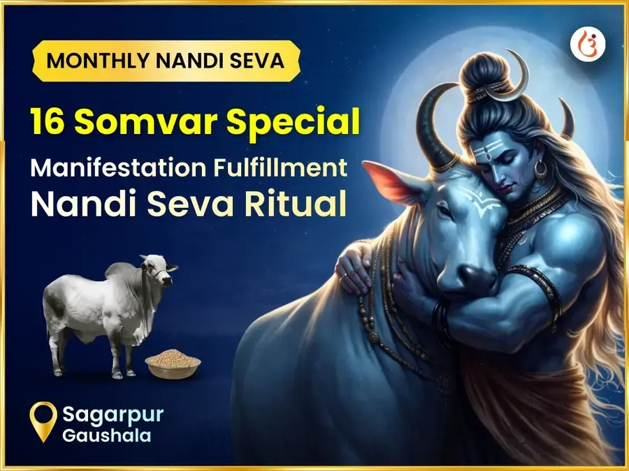 Somvar Vishesh Manifestation Fulfillment Weekly (Saptahik) Nandi Seva - Utsav Puja