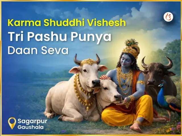 Sagarpur Gaushala Karma Shudhi Visesh Tri Pashu Punya Daan Seva - Bhet Offering