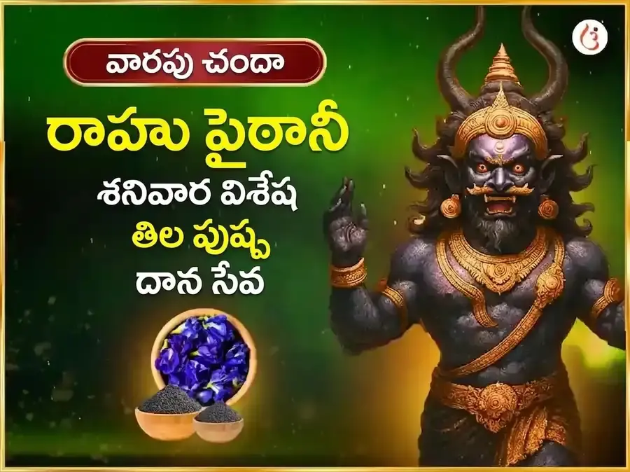 శనివార్ విశేష్ వారపు రాహు పైఠాణి నువ్వులు & అపరాజిత పుష్ప దానం - Utsav Puja