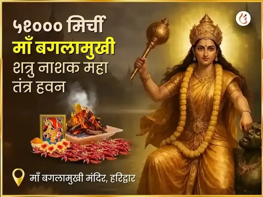 माँ बगलामुखी ५१००० लाल मिर्च हवन - Utsav Puja