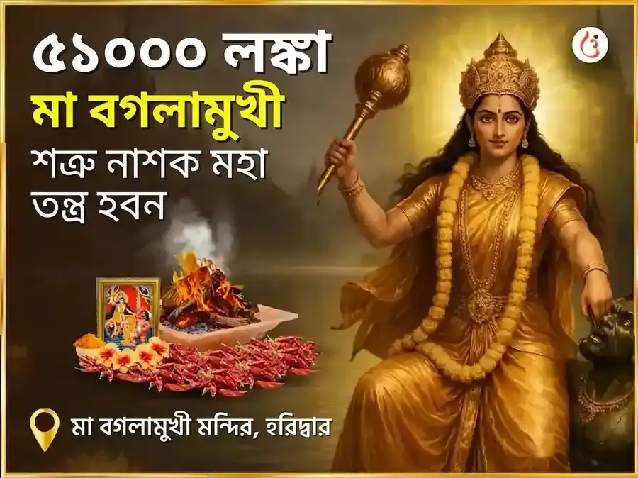 মা বগলামুখী ৫১০০০ লাল मिरची হবন - Utsav Puja