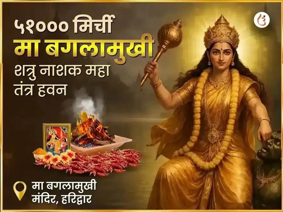 माँ बगलामुखी ५१००० लाल मिरची हवन - Utsav Puja