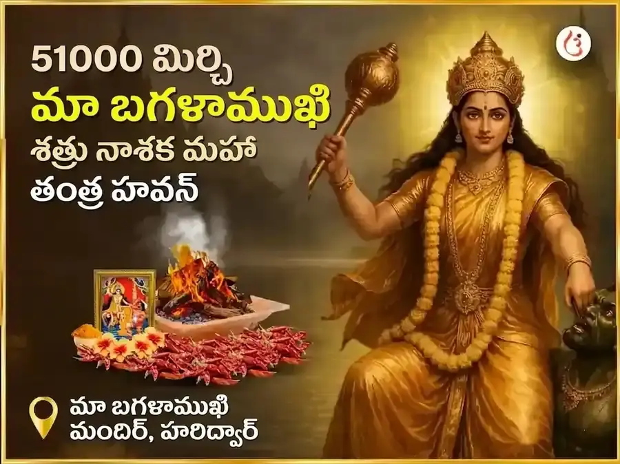 మా బగళాముఖి 51000 లాల్ మిర్చి హవనం - Utsav Puja