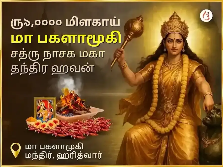 மா பகளாமுகி 51000 லால் மிர்சி ஹவன் - Utsav Puja