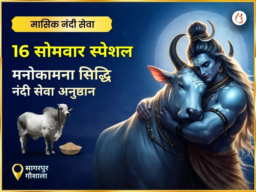 सोमवार विशेष अभिव्यक्ति पूर्ति साप्ताहिक (साप्ताहिक) नंदी सेवा - Utsav Puja