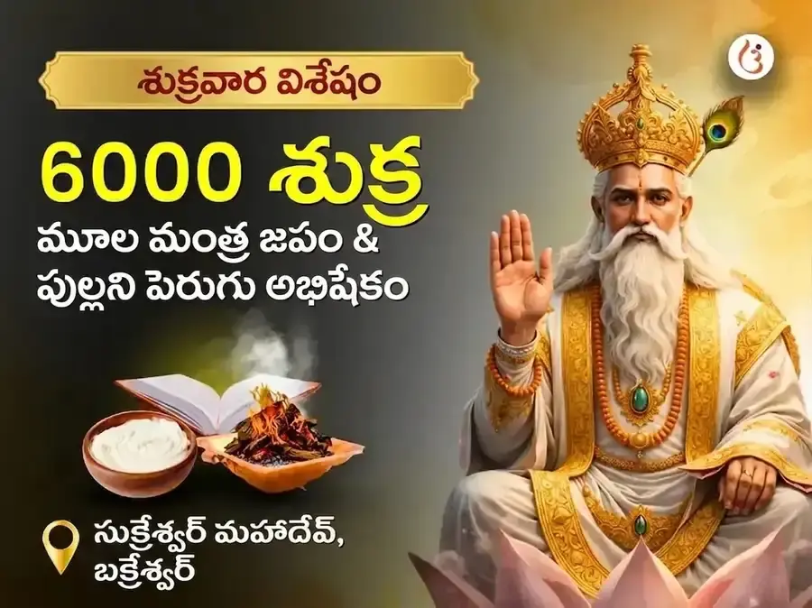శుక్రవార విశేషం ౬౦౦౦ శుక్ర మూల మంత్ర జప గ్రహ శాంతి అనుష్ఠానం & పుల్లటి పెరుగు అభిషేకం - Utsav Puja