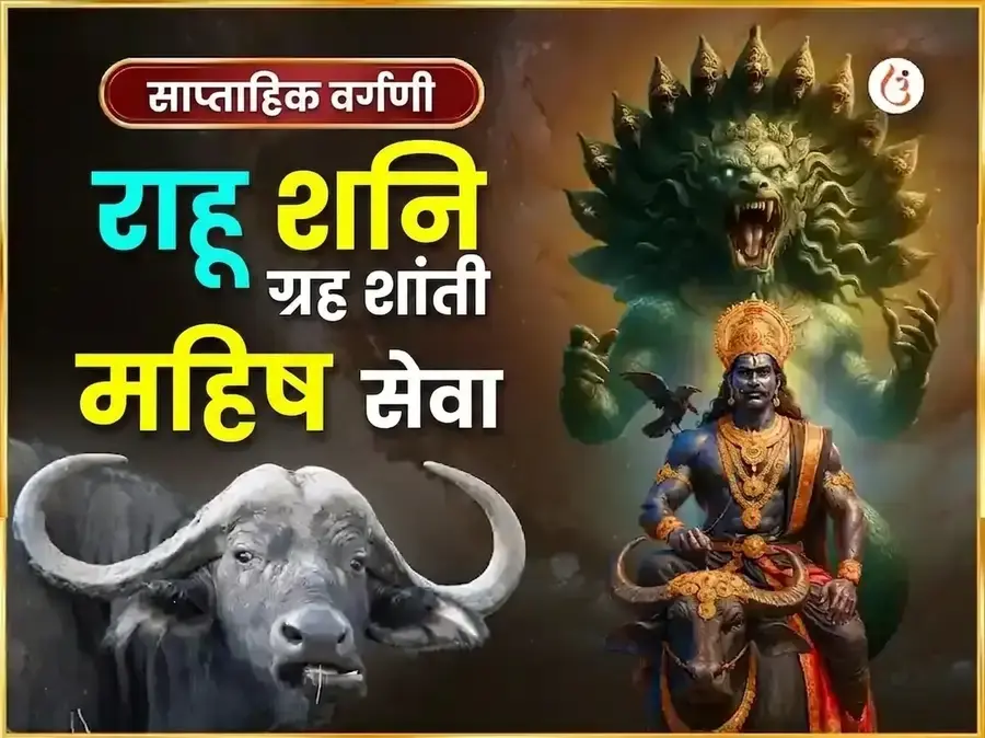 शनिवार विशेष राहू शनि ग्रह शांती साप्ताहिक महिष सेवा - Utsav Puja