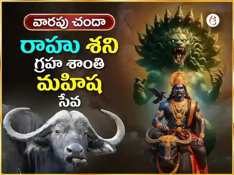 శనివార్ విశేష్ రాహు శని గ్రహ శాంతి వారపు మహిష సేవ - Utsav Puja