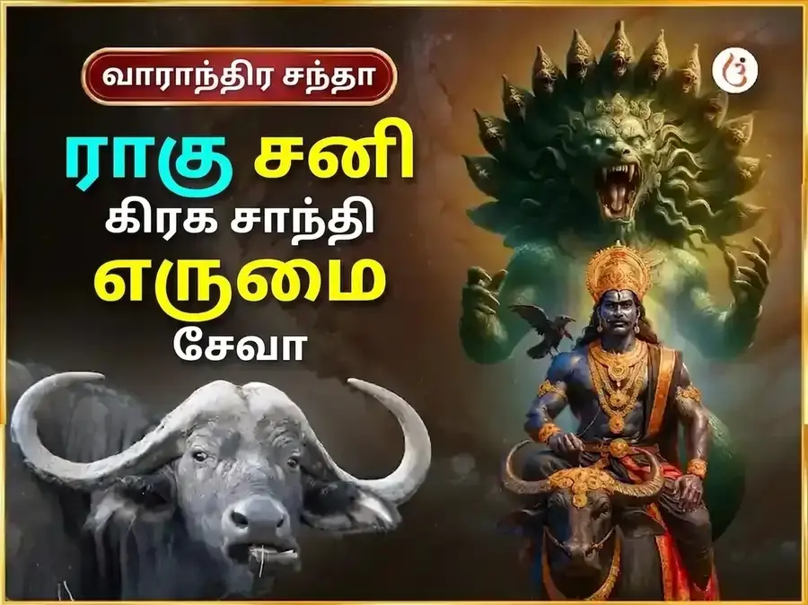 சனிவார் விசேஷ ராகு சனி கிரஹ சாந்தி வாராந்திர எருமை சேவை - Utsav Puja