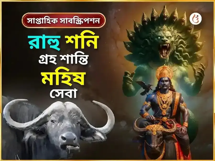 শনিবার বিশেষ রাহু শনি গ্রহ শান্তি সাপ্তাহিক মহিষ সেবা - Utsav Puja