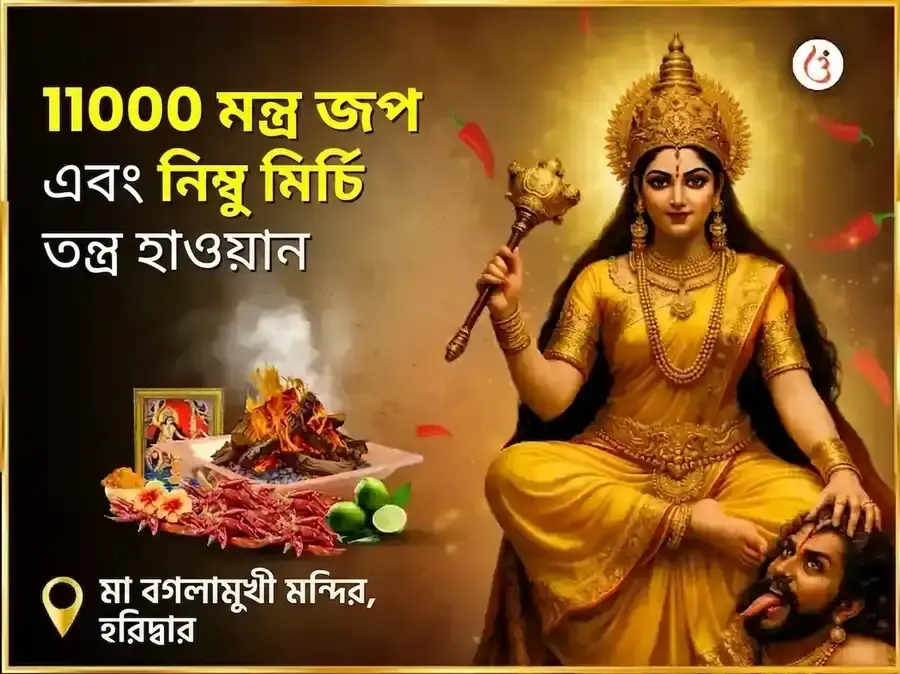 মা বগলামুখী স্বর্ণ সমৃদ্ধি হবন এবং 11000 মূল মন্ত্র জপ - Utsav Puja