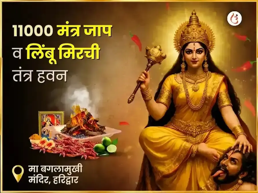 माँ बगलामुखी स्वर्ण समृद्धी हवन आणि 11000 मूळ मंत्र जाप - Utsav Puja