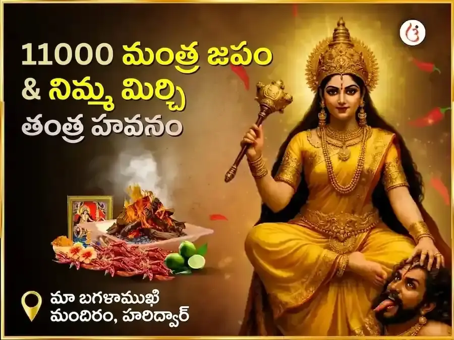 మా బగళాముఖి స్వర్ణ సమృద్ధి హవనం & 11000 మూల మంత్ర జపం - Utsav Puja