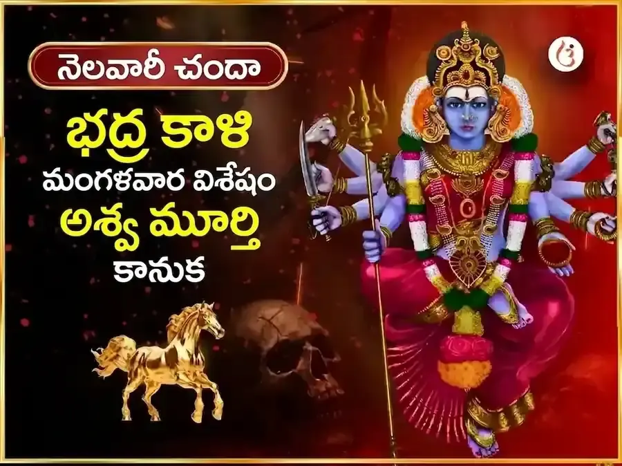 మంగళవార విశేష భద్రకాళి మందిర్ కాశీ సాప్తాహిక్ (వారపు) దాన సేవ - Utsav Puja