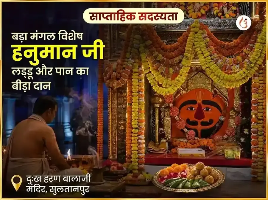 बड़ा मंगल विशेष हनुमानजी साप्ताहिक लड्डू और पान का बीड़ा दान - Utsav Puja