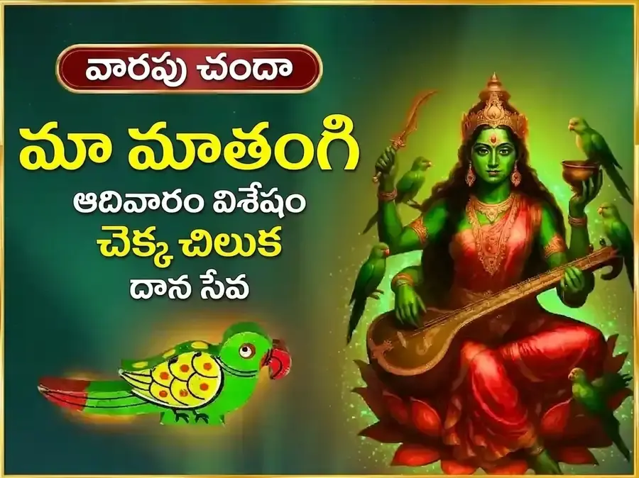 రవివార్ విశేష్ మా మాతంగి వారపు చెక్క చిలుక దాన్ సేవ - Utsav Puja
