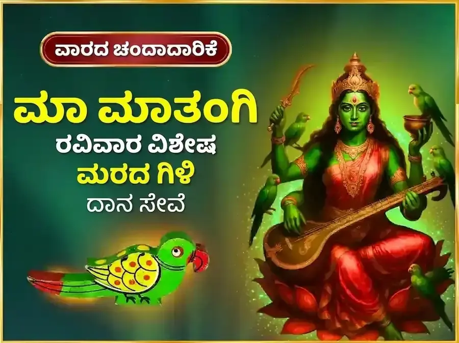 ರವಿವಾರ ವಿಶೇಷ ಮಾ ಮಾತಂಗಿ ಸಾಪ್ತಾಹಿಕ ಮರದ ಗಿಳಿ ದಾನ ಸೇವೆ - Utsav Puja