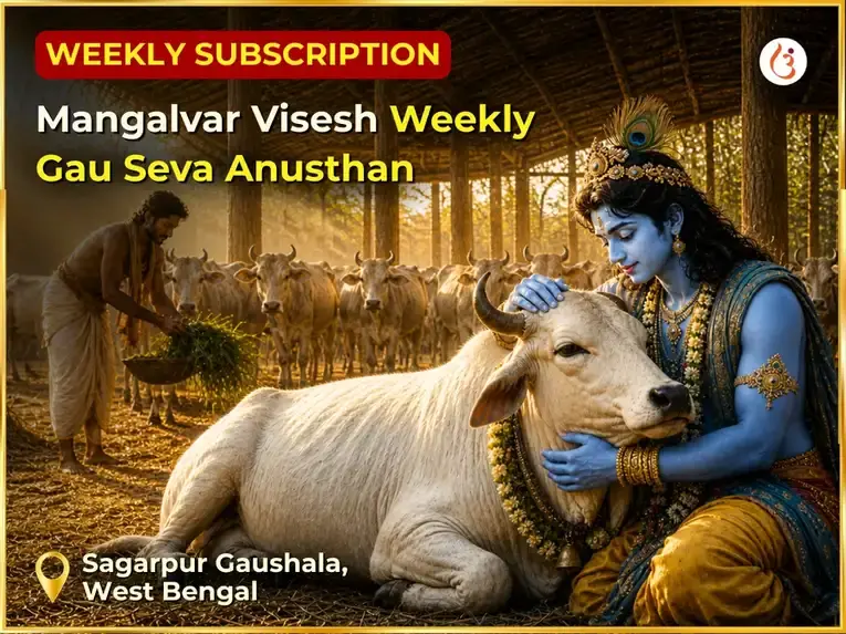 Mangalvar Visesh Weekly Gau Seva Anusthan - Utsav Puja