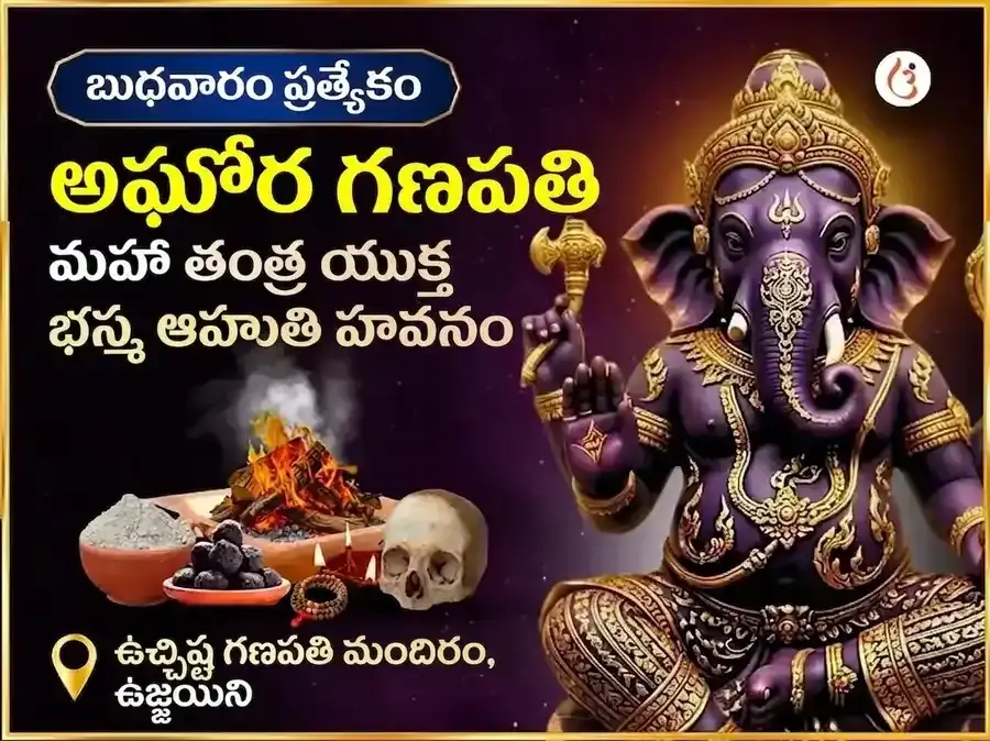 అఘోరి ఉచ్ఛిష్ట గణపతి మహా తంత్ర యుక్త భస్మ ఆహుతి హవనం - Utsav Puja