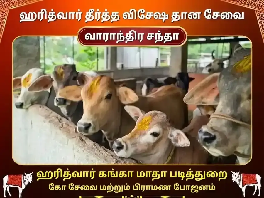 குருவார் ஹரித்வார் கங்கா காட் வாராந்திர கௌ சேவா & பிராமண போஜனம் - Utsav Puja