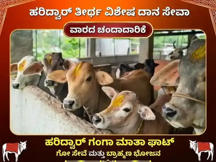 ಗುರುವಾರ ಹರಿದ್ವಾರ ಗಂಗಾ ಘಾಟ್ ಸಾಪ್ತಾಹಿಕ ಗೌ ಸೇವಾ ಮತ್ತು ಬ್ರಾಹ್ಮಣ ಭೋಜನ - Utsav Puja