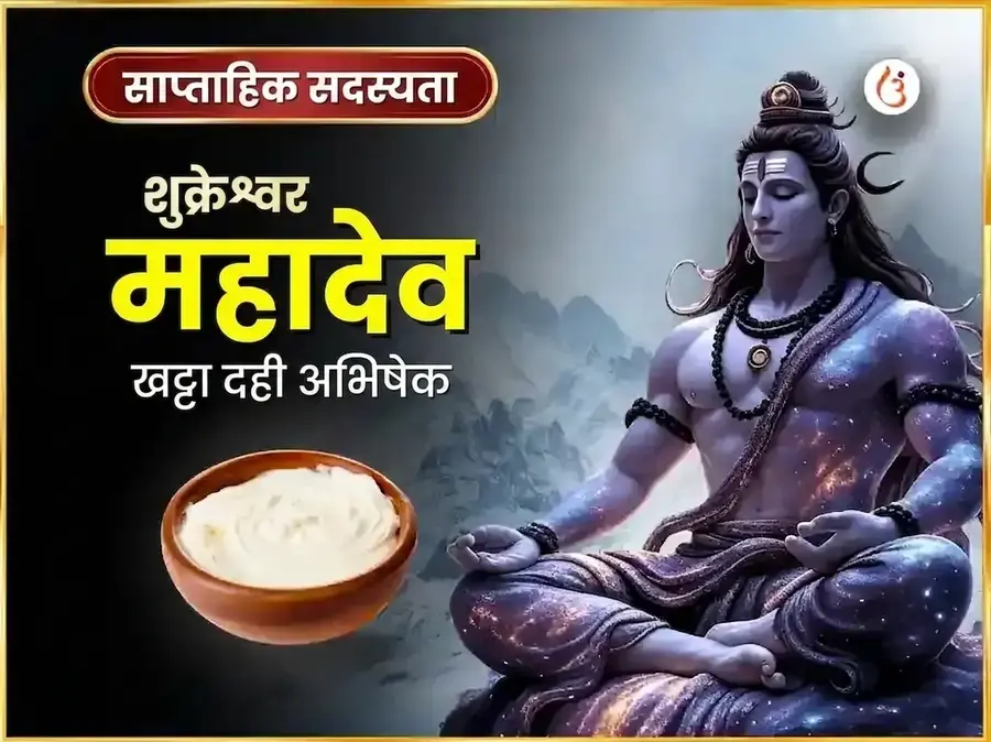 शुक्रवार विशेष शुक्रेश्वर महादेव साप्ताहिक खट्टा दही अभिषेक - Utsav Puja