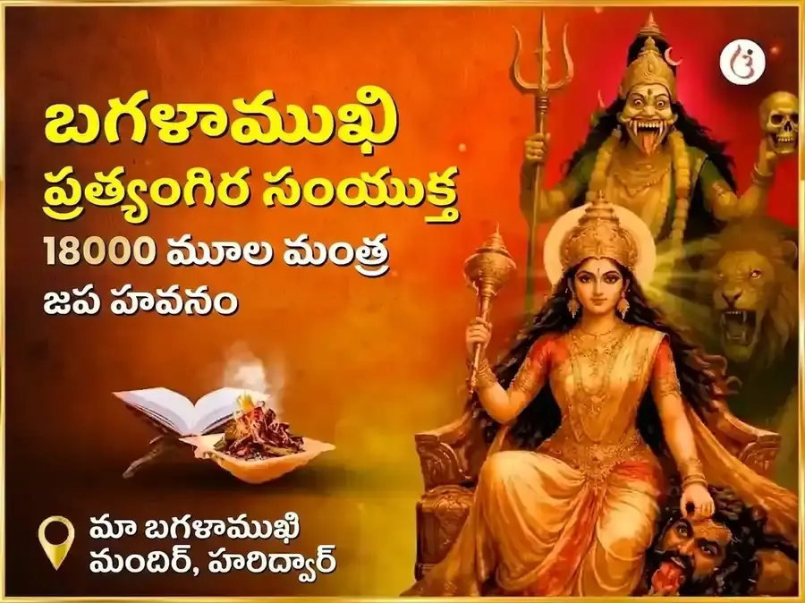 మా బగలాముఖి ప్రత్యంగిర సంయుక్త 18000 మూల మంత్ర జపం & నిమ్మ మిర్చి హవనం - Utsav Puja
