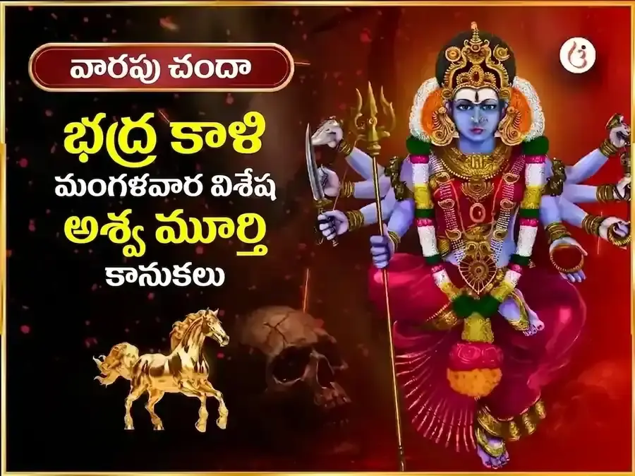 మంగళవార విశేష భద్రకాళి మందిరం కాశీ వారపు దాన సేవ - Utsav Puja