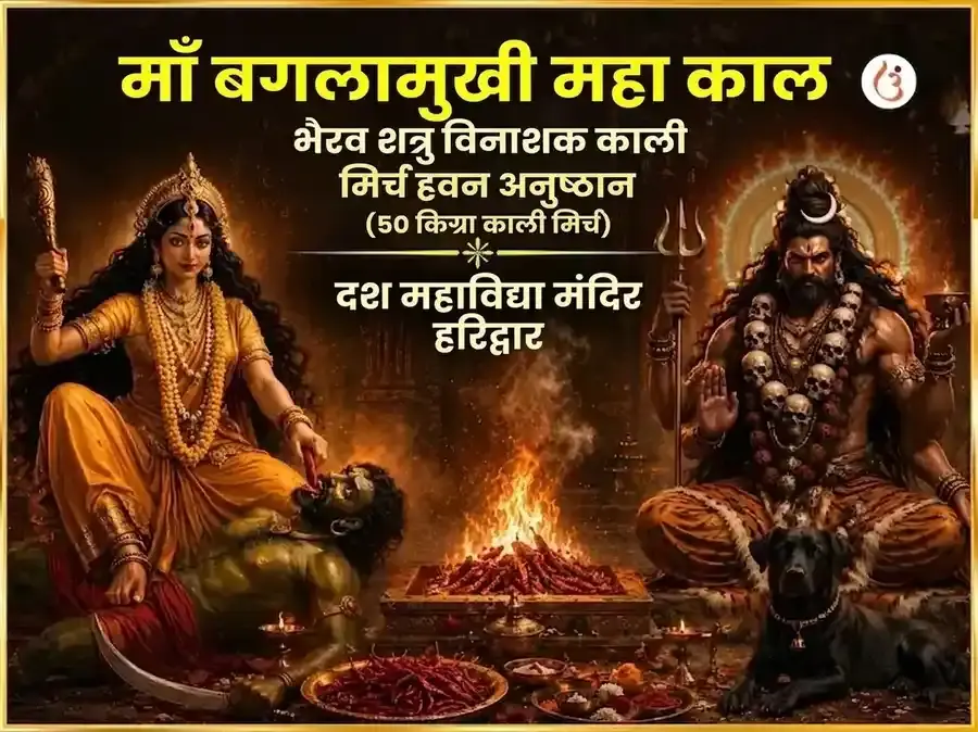 माँ बगलामुखी महा काल भैरव शत्रु विनाशक काली मिर्च हवन - Utsav Puja