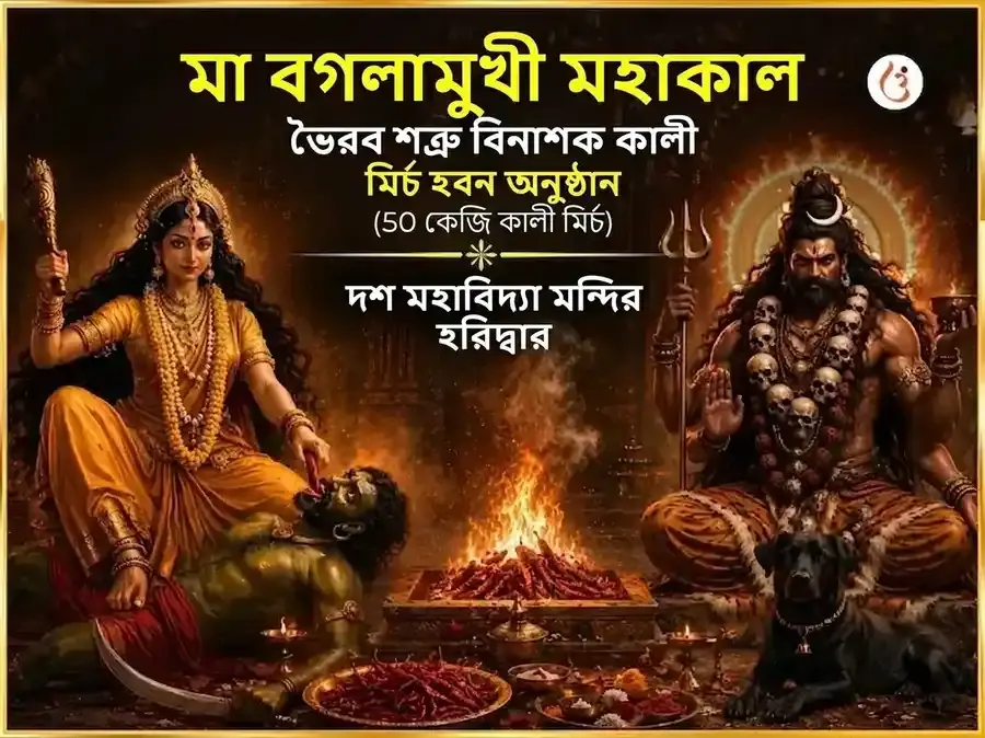 মা বগলামুখী মহাকাল ভৈরব শত্রু বিনাশক কালী মির্চ হবন - Utsav Puja