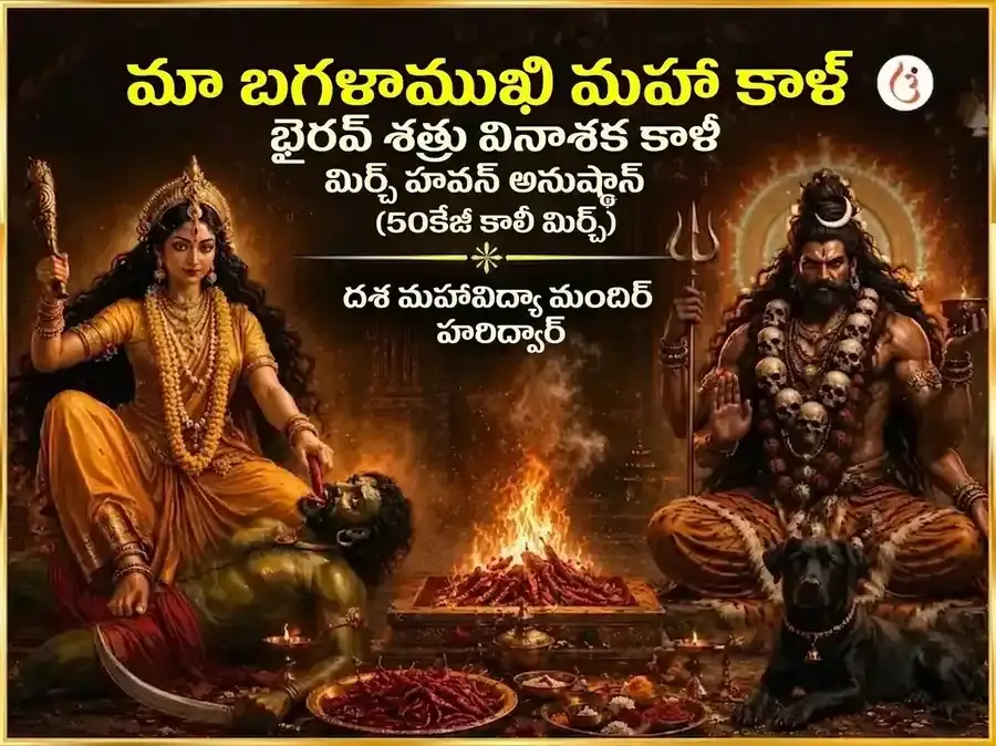 మా బగళాముఖి మహా కాళ్ భైరవ్ శత్రు వినాశక్ కాళీ మిర్చ్ హవన్ - Utsav Puja